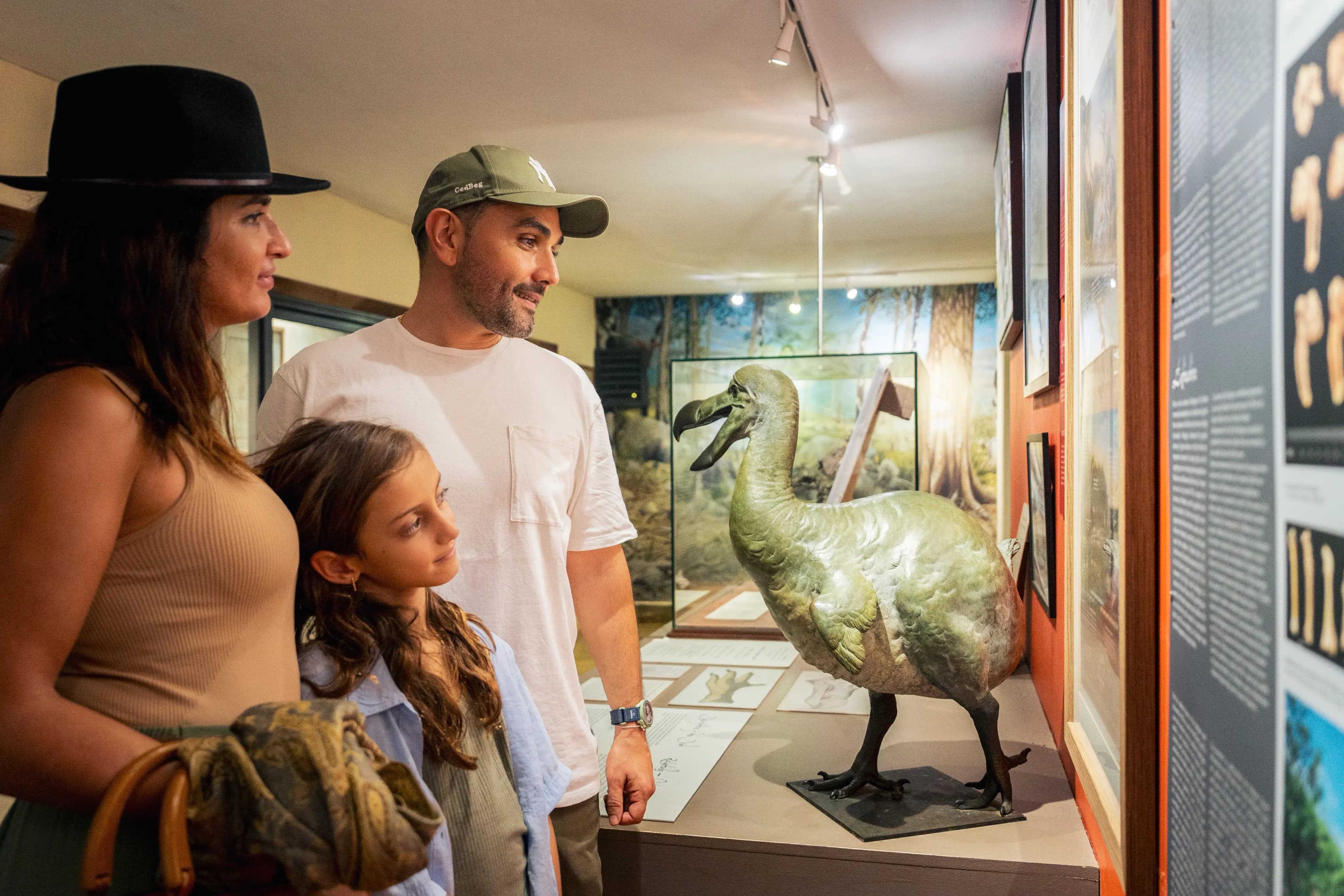Exposition sur le dodo